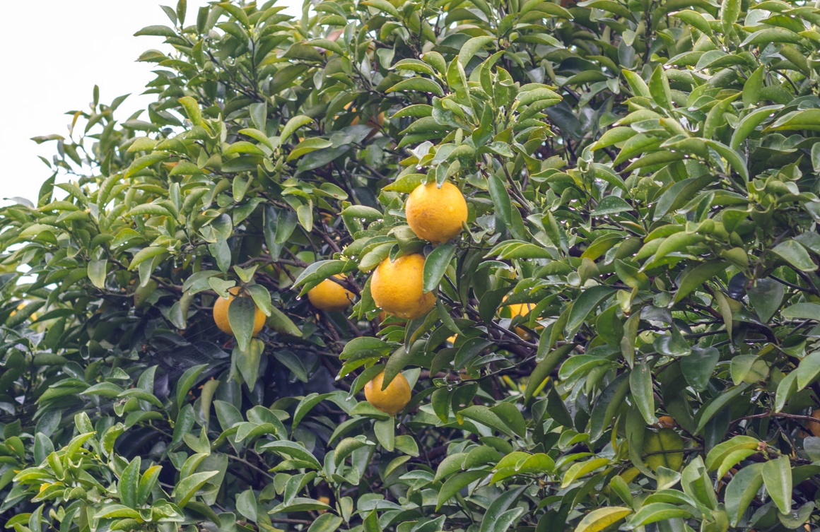 自分たちの手で作り上げる喜びを感じられます